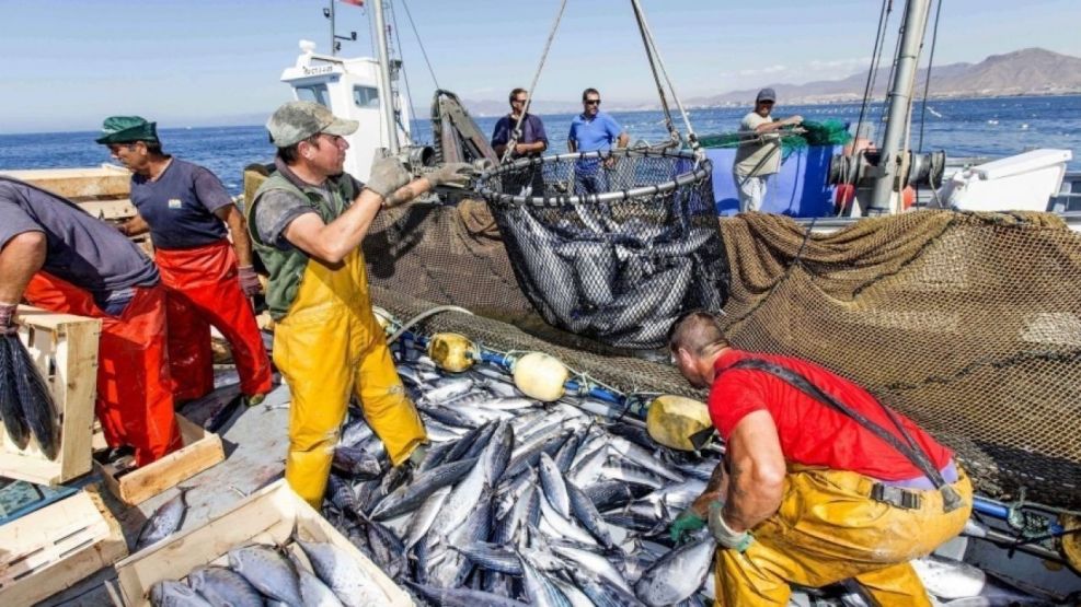 crisis-de-la-pesca:-la-flota-tangonera-congeladora-sigue-sin-zarpar